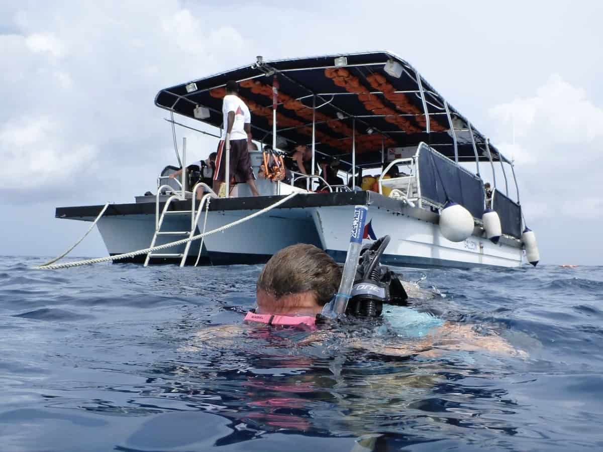 Why Do Scuba Divers Wear Snorkels?