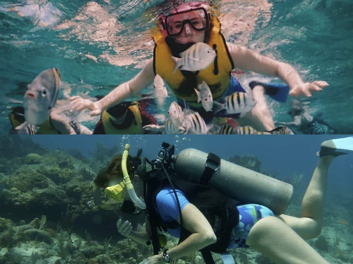 Scuba Diving vs. Snorkeling Which is Easier for Beginners