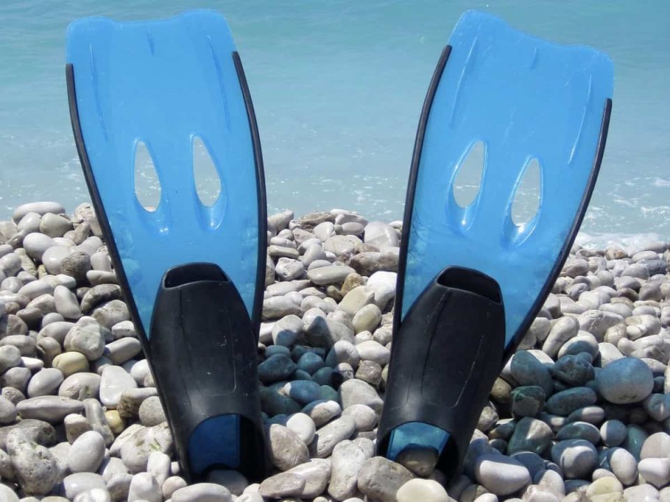 Can You Snorkel Without Fins?