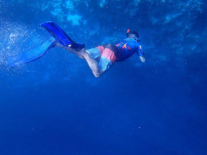 Why Snorkeling Masks Fog Up and 7 Ways to Prevent It