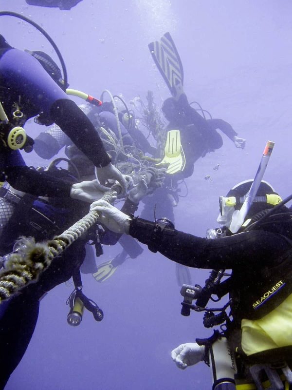 How Scuba Divers Communicate An Interactive Guide