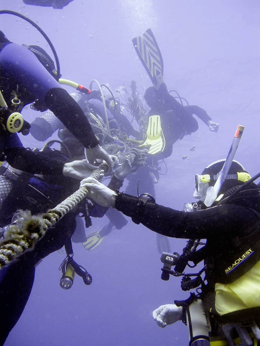 How Scuba Divers Communicate An Interactive Guide