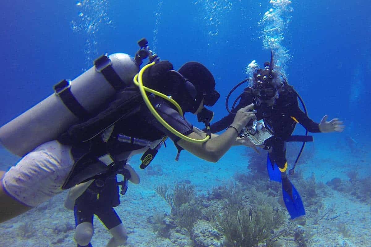 How Scuba Divers Communicate An Interactive Guide